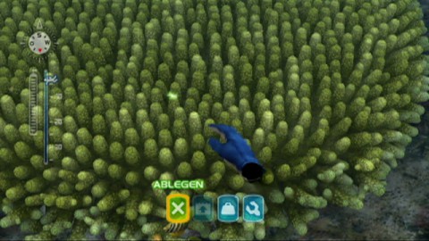 Fische k&ouml;nnen gef&uuml;ttert werden.