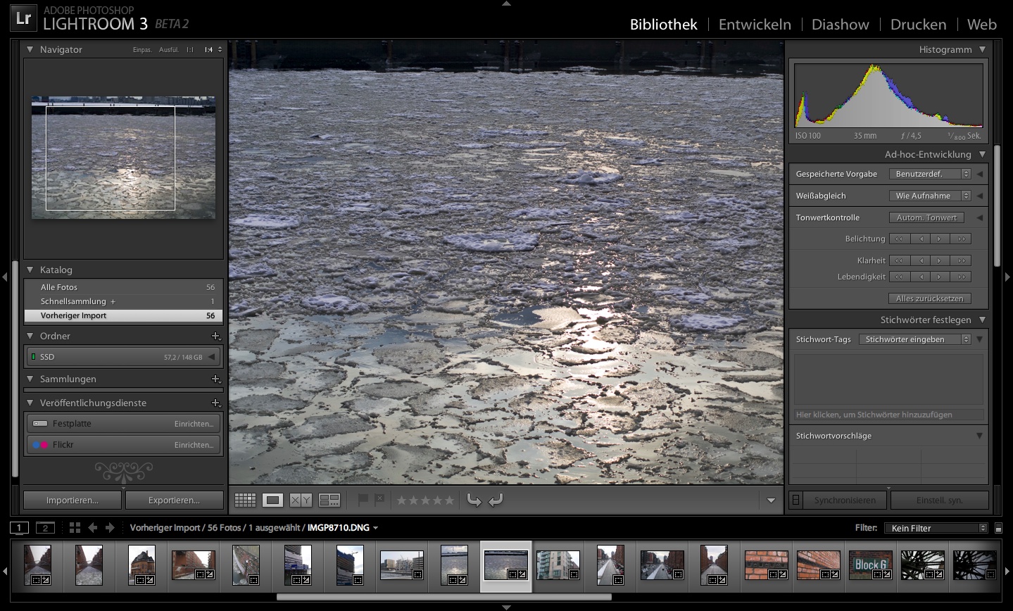 Adobe Photoshop Lightroom 3 Beta 2 - Bibliothek