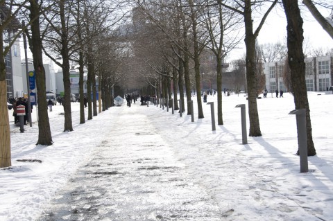 Verschneite Cebit-Wege 