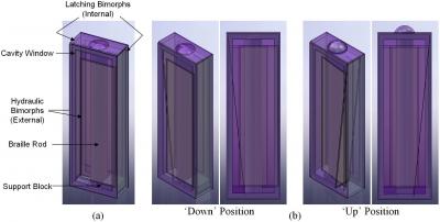 Liegt Spannung an, schiebt ein Polymer ein gut fühlbares Braille-Pixel aus dem Display und rastet dann ein, um unter dem Gewicht der aufliegenden Finger nicht einzusacken (Quelle: North Carolina State University)