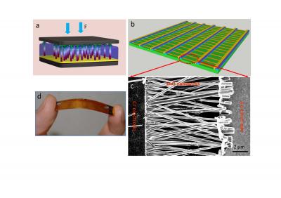 Sensor mit senkrechten (oben links) und waagerechten Drähten (rechts) (Bilder: Zhonglin Wang)