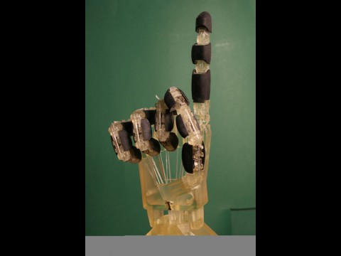 Mit dem Antrieb kann die Hand kraftvoll und behutsam greifen. (Foto: Universit&auml;t des Saarlandes)