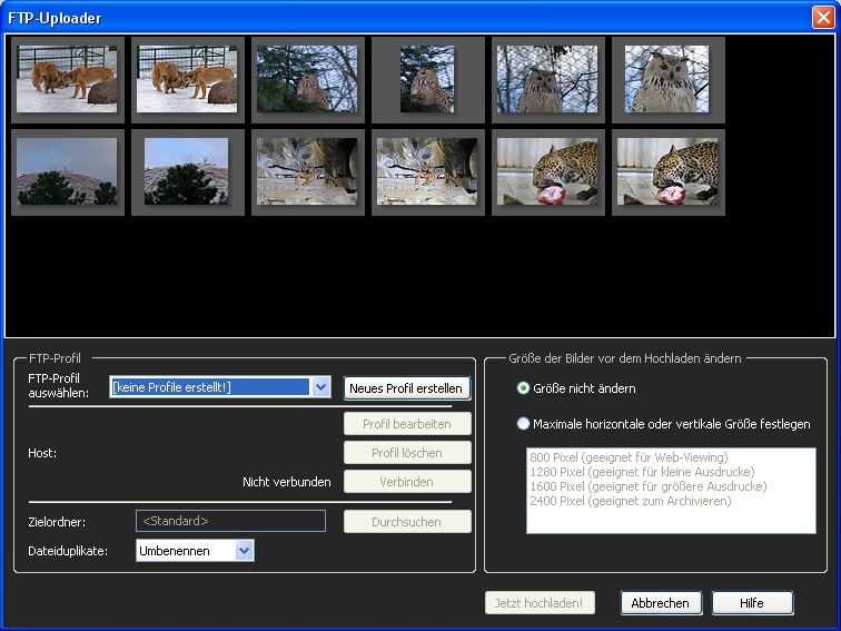 ACDSee Photo Manager 12 - FTP-Uploader