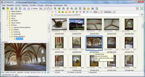 Faststone Image Viewer 4.1 - Vorschau von Rohdaten