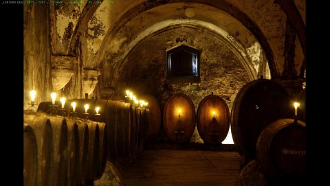 Faststone Image Viewer 4.1 - Vollbildansicht (Foto: Andreas Donath)