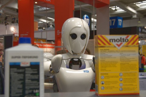 Aila im Einsatz (Foto: wp)