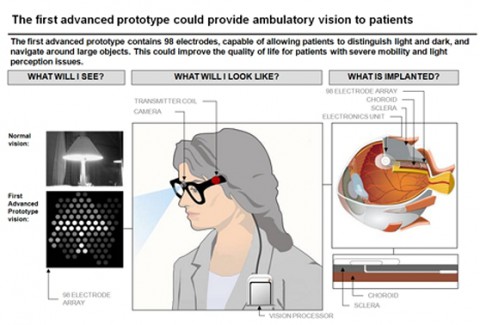 Der aktuelle Prototyp erlaubt nur, Umrisse zu sehen. (Grafik: Bionic Vision Australia)