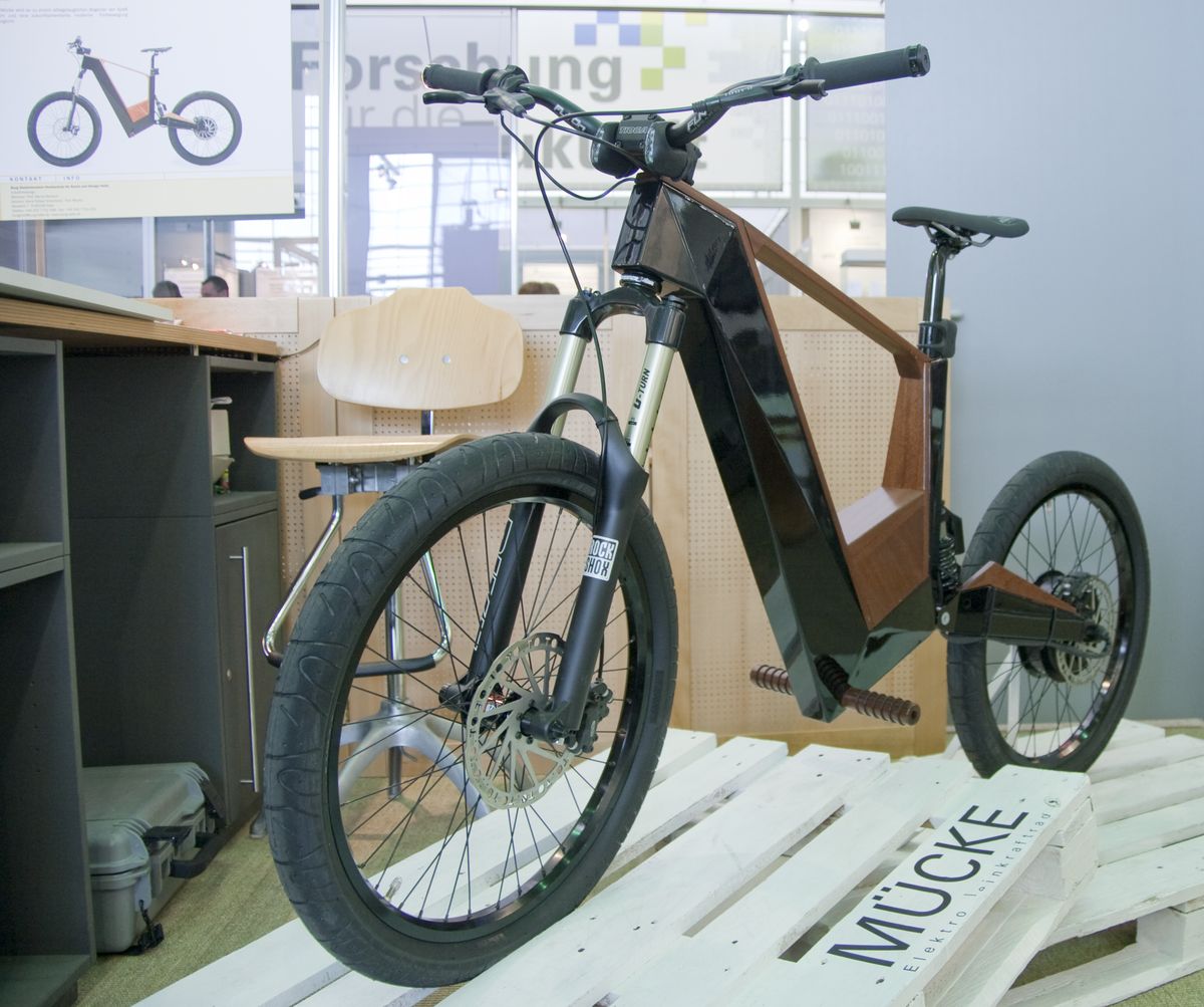 E-Bike Mücke (Foto: wp)