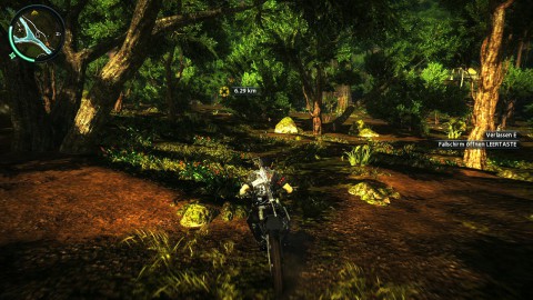 Die Flora der Insel ist dicht bewachsen.