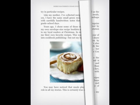 ... und dann mit Kindle for iPad lesen.