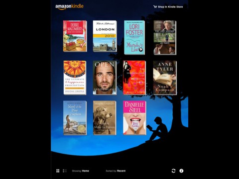 Kindle for iPad - Blick auf die Buchsammlung