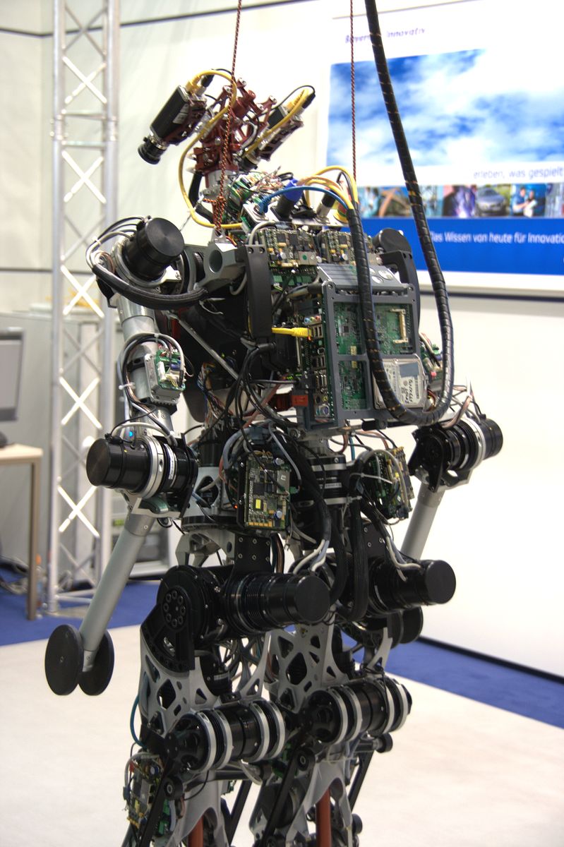 Lolas Rücken - in der Mitte ist der Computer, der den Gang berechnet. (Foto: wp)