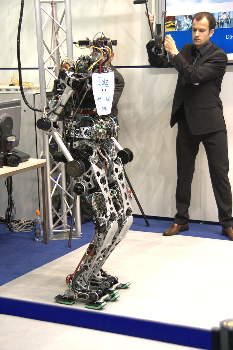 Lola wird zur Vorführung herabgelassen... (Foto: wp)