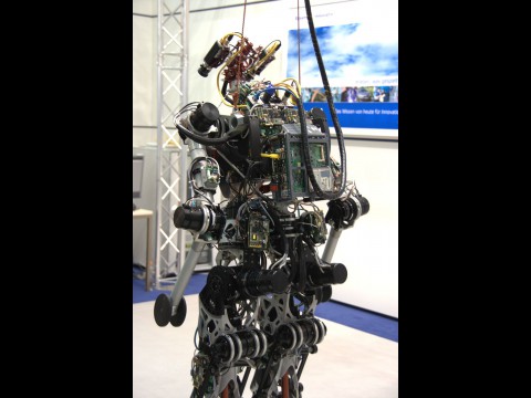 Lolas R&uuml;cken - in der Mitte ist der Computer, der den Gang berechnet. (Foto: wp)