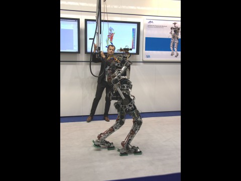 Das Zehgelenk erm&ouml;glicht einen menschlichen Gang. (Foto: wp)