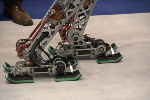 Lolas Fu&szlig; (Foto: wp)