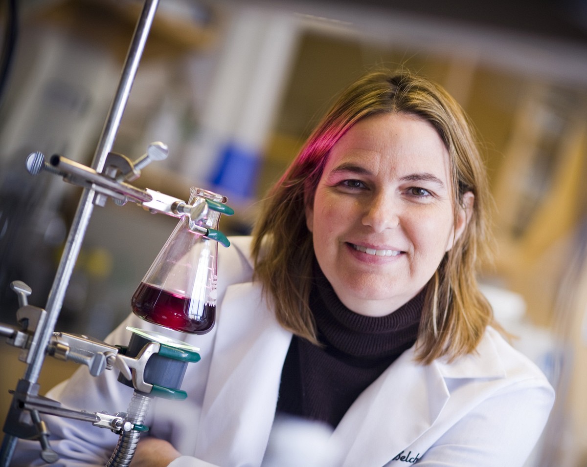 Angela Belcher (Foto: Dominick Reuter)