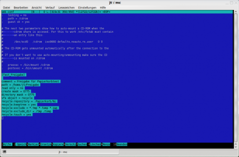 Die Konfigurationsoptionen f&uuml;r das virtuelle Dateisystem VFS werden in der Textdatei smb.conf eingetragen, wahlweise global oder f&uuml;r jede einzelne Freigabe.