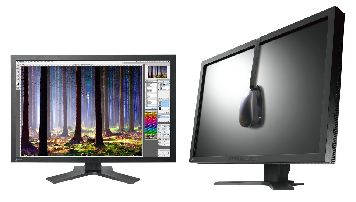 Eizo CG303W