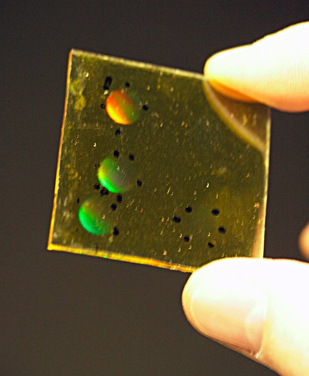 Prototyp des Fotopolymers auf Plexiglasbasis, der die Technik der Head-Up-Displays verbessern kann.<br>Foto: Anne Günther/FSU<br>Physiker der Universität Jena entwickeln besseres Head-Up-Display auf Plexiglasbasis