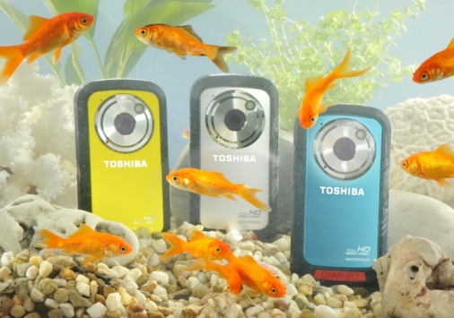 Toshiba Camileo  BW10