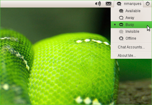 Antaya unter Opensuse 11.4