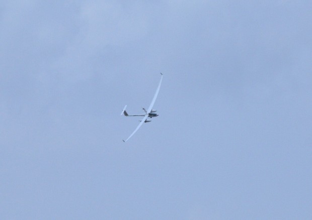 ... und im Flug (Foto: wp)