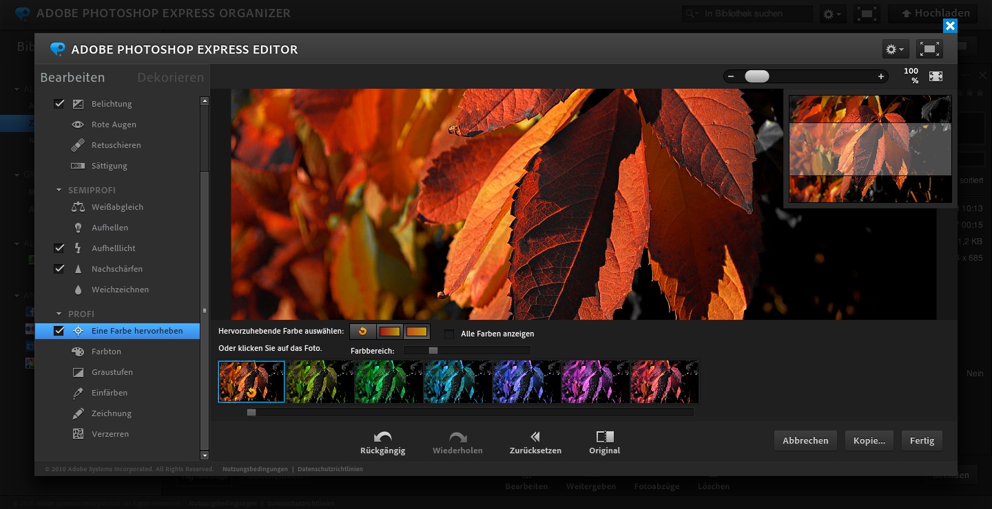 Photoshop Express Editor - Farbe hervorheben (Foto: Andreas Donath)