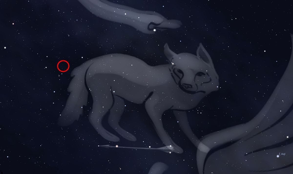 Die Position des Pulsars im Sternbild Fuchs (Bild: AEI Hannover)