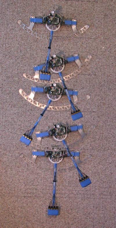 Rocr in Aktion (Foto: Mark Fehlberg/ University of Utah)