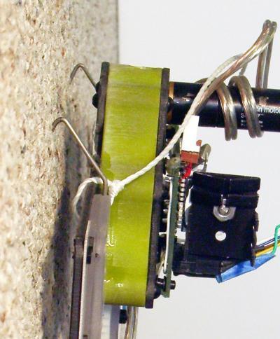 Rocr hält sich mit zwei hakenartigen Krallen an der Wand fest. (Foto: Mark Fehlberg/ University of Utah)