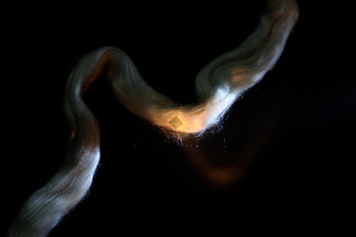 Ein Sensor auf einem Strang von Seidenfäden (Foto: Hu Tao, Tufts University) 