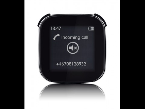 Sony Ericsson Liveview