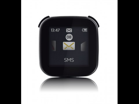 Sony Ericsson Liveview