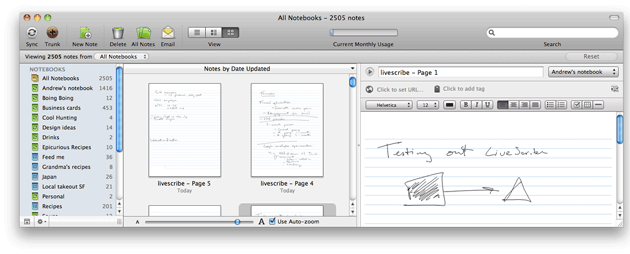 Livescribe-Notizen in Evernote