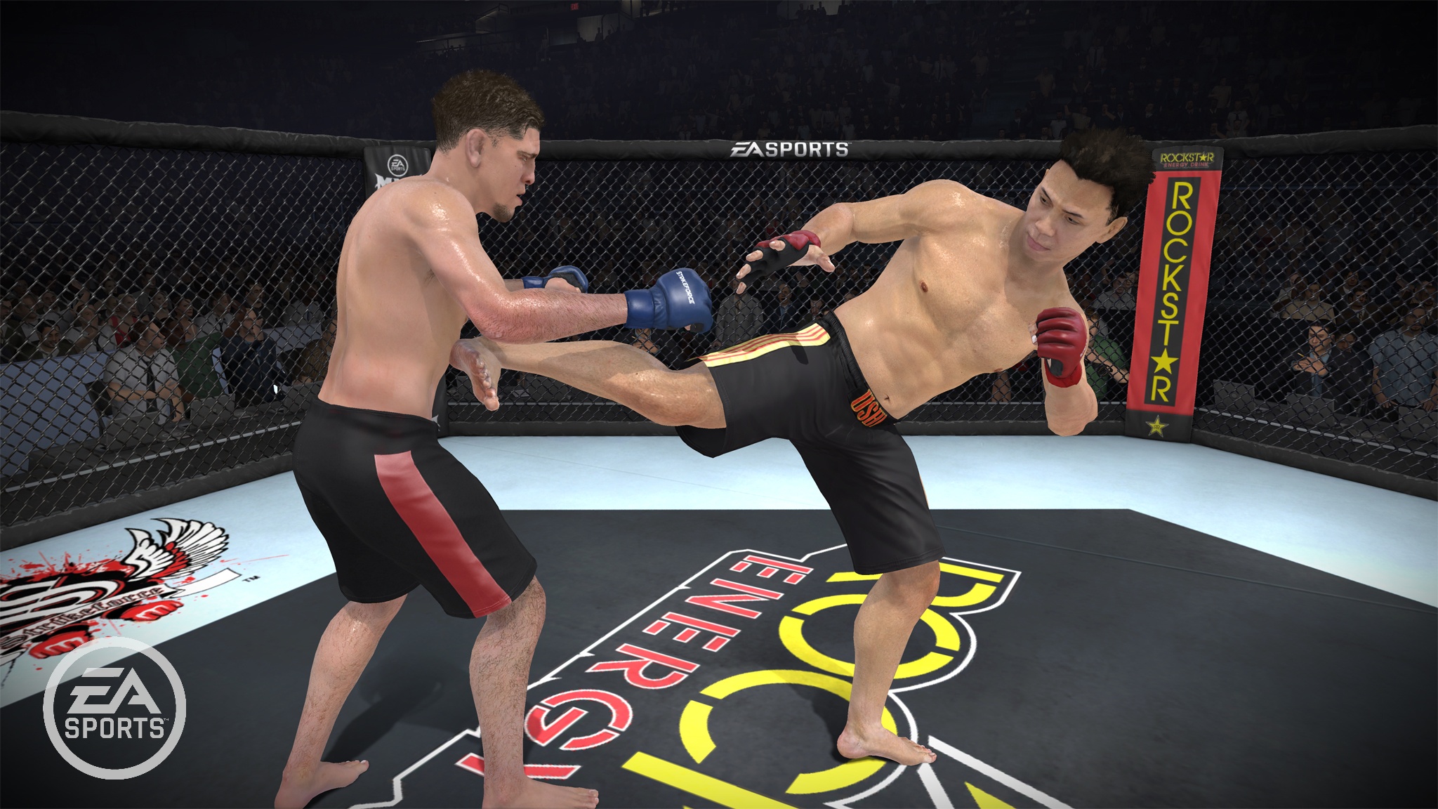 MMA - Mixed Martial Arts