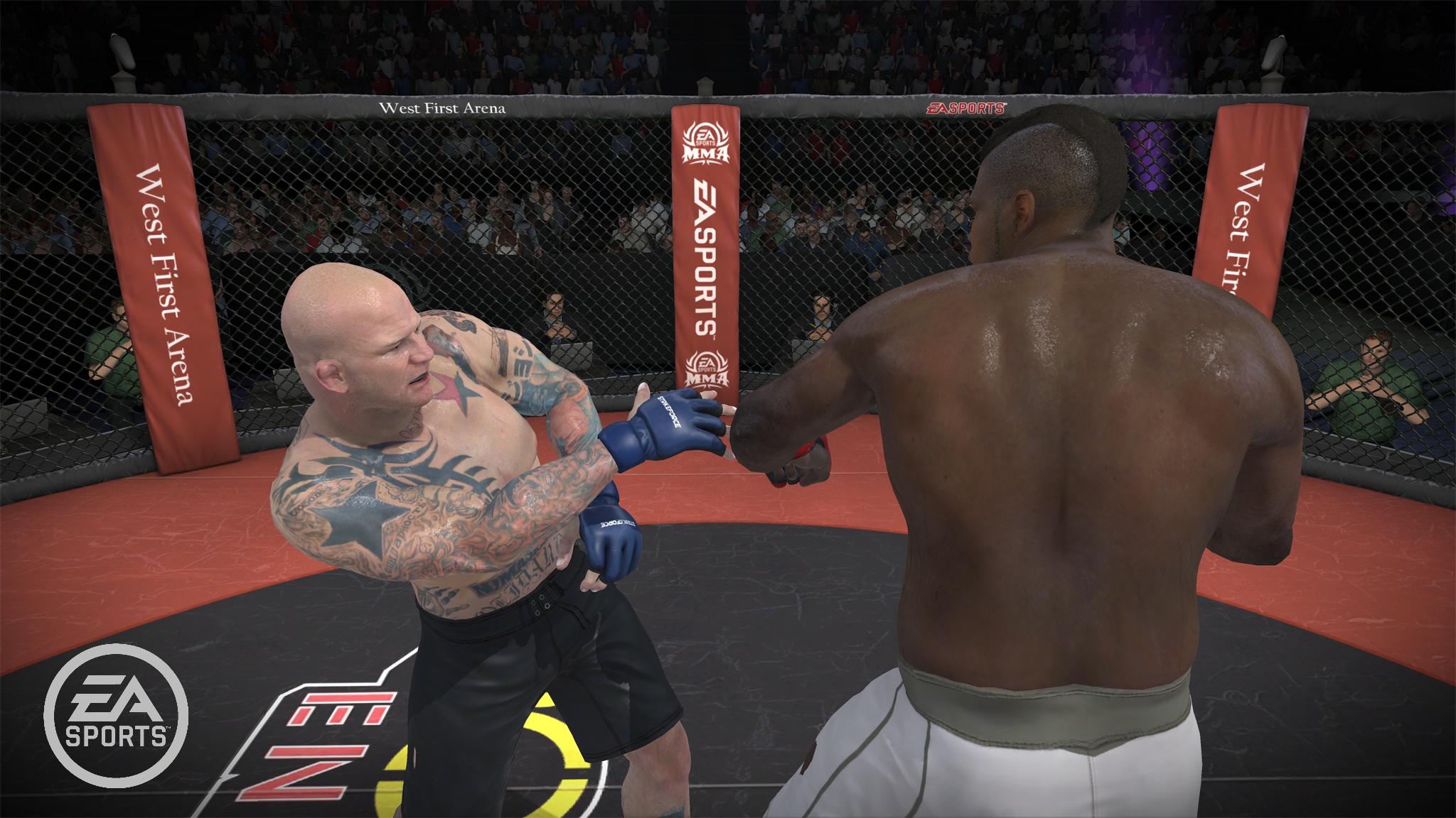 MMA - Mixed Martial Arts