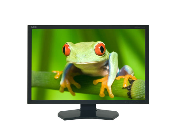 NEC Spectraview 231