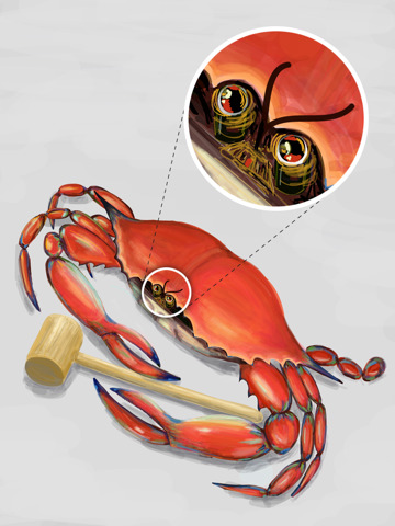 Adobe Ideas (iPad-Version)