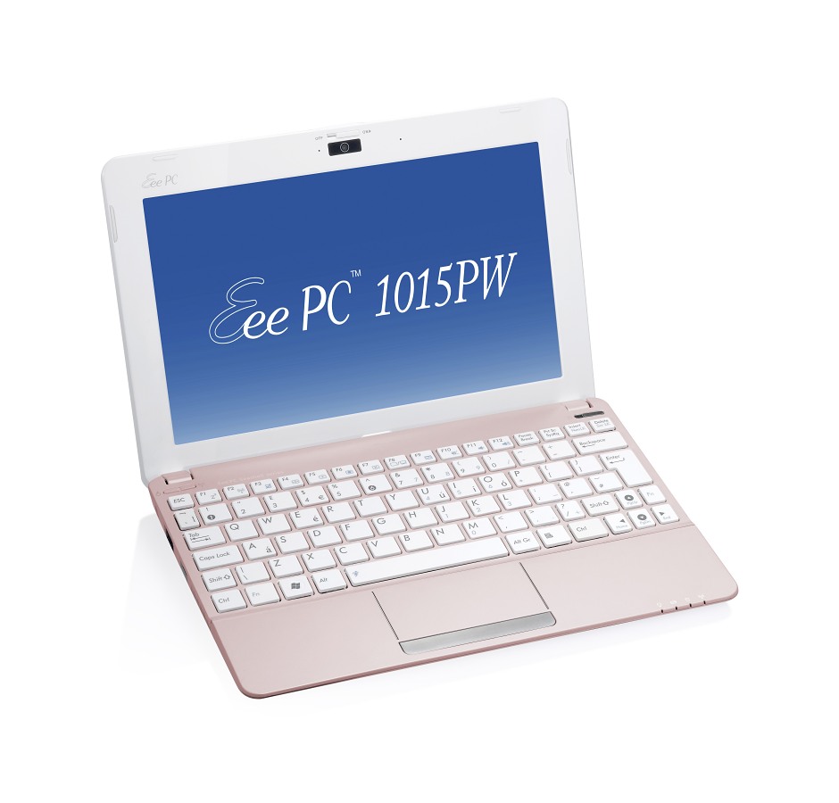 Netbook in Rosa