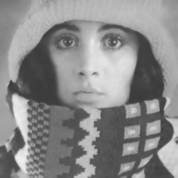 Fast Explicit Diffusion: Schneller Algorithmus zur Mustererkennung ...