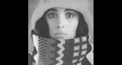 Mit dem Verfahren von Professor Joachim Weickert kann das Ausgangsbild so rekonstruiert werden.