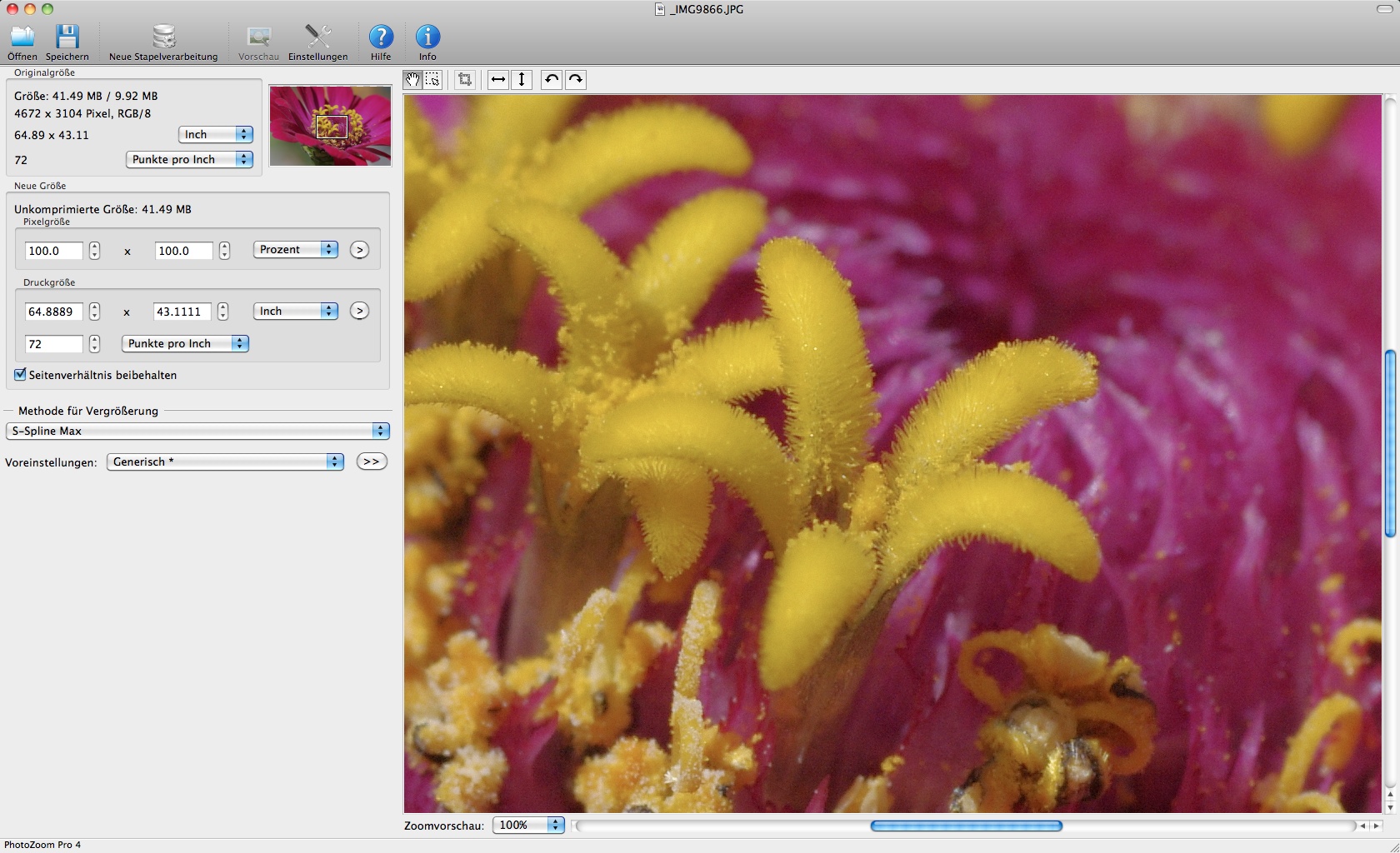 Photozoom Pro 4 - Bild in Originalgröße (Foto: Andreas Donath)