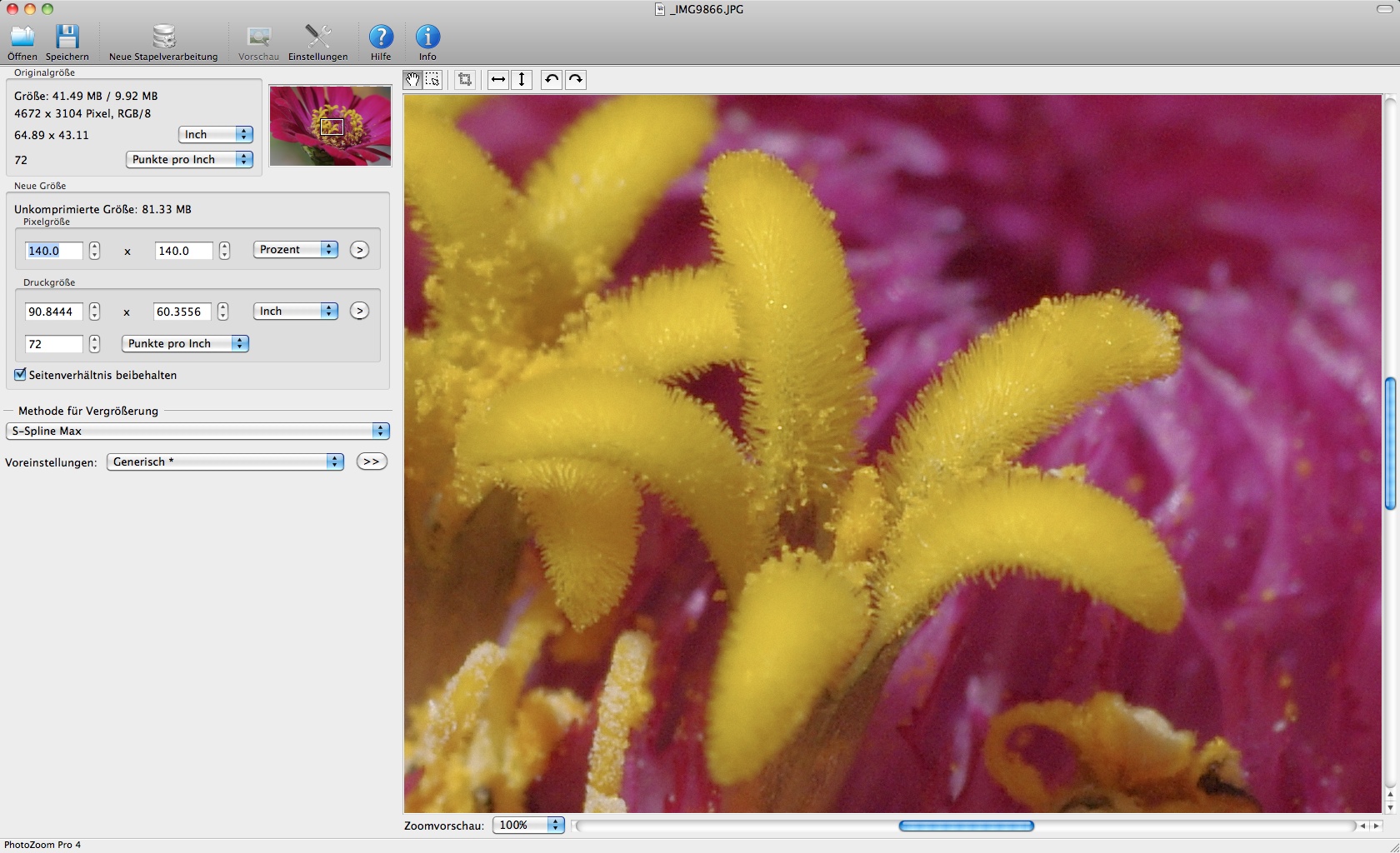 Photozoom Pro 4 - Vergrößerung auf 140 Prozent (Foto: Andreas Donath)