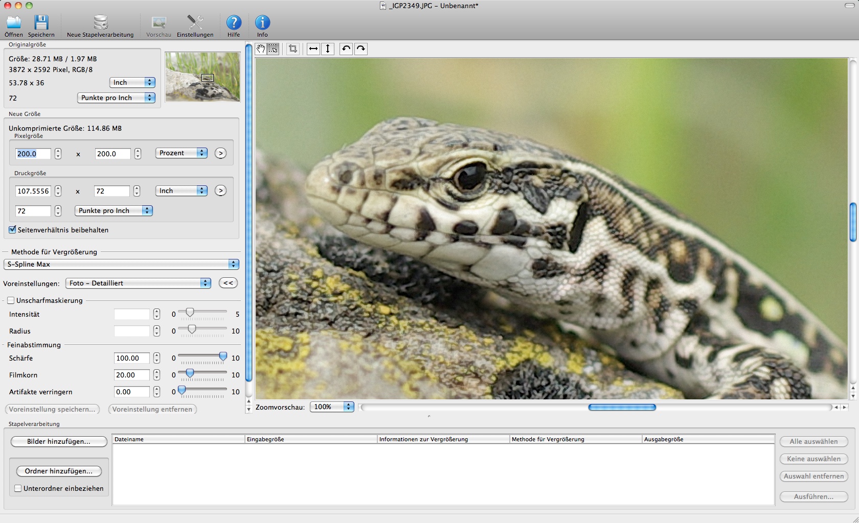 Photozoom Pro 4 - Vergrößerung auf 200 Prozent (Foto: Andreas Donath)