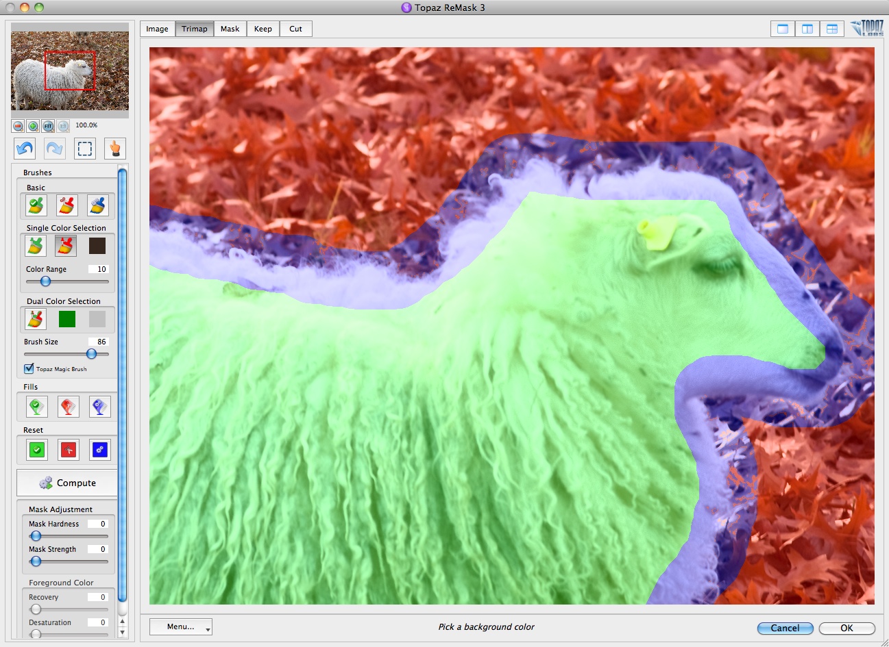 Topaz Remask 3 - Maskenerstellung