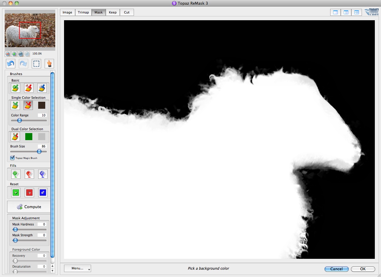 Topaz Remask 3 - Maske 