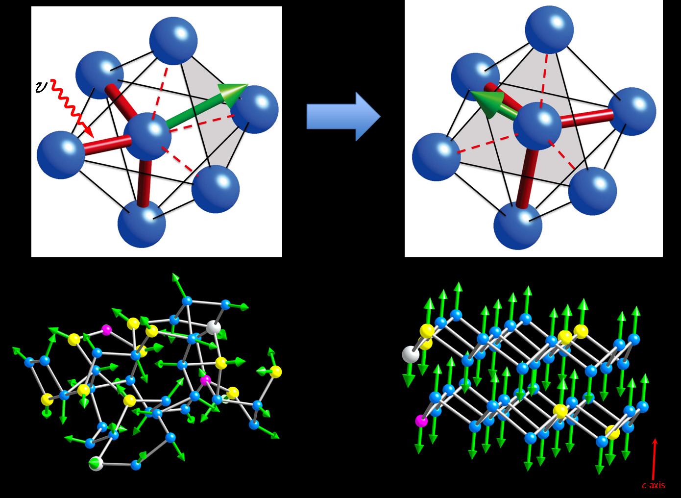 Modell der Kristallisierung der Legierung AIST in einer DVD<br>Oben links: Ein Laserstrahl (Pfeil hv) stößt die Bewegung des zentralen Antimon-Atoms (links) an, das daraufhin seine Bindung zu zwei Nachbarn austauscht. Oben rechts: Die grüne Vektorsumme der drei kurzen roten Bindungen ändert sich. Unten: Eine Reihe solcher Prozesse führt von der amorphen (links) zur kristallinen Form (rechts). [Quelle: Forschungszentrum Jülich]