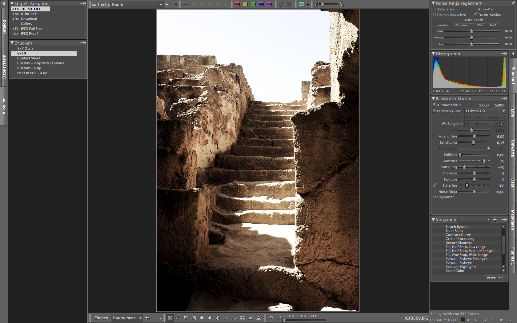 Bibble 5.2  - Vorgaben (Bleach Bypass) (Foto: Andreas Donath)