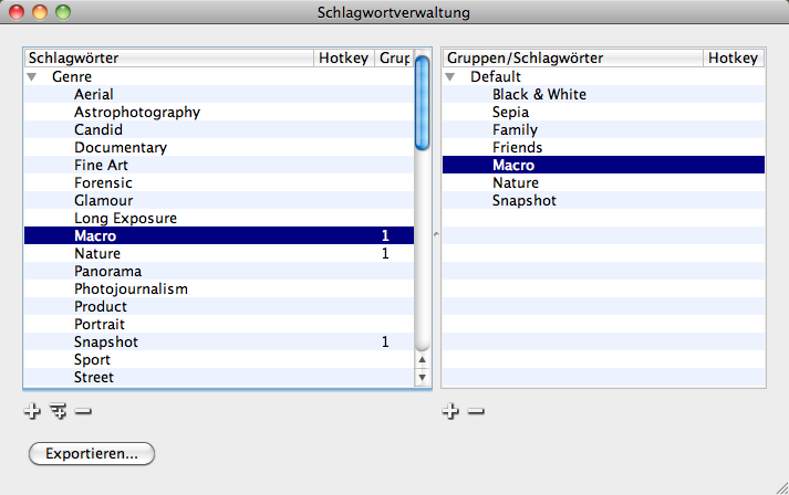 Bibble 5.2  - Schlagwortverwaltung